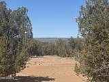 Lot 52 Witch Well Ranchos - Photo 1