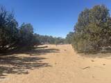 Lot 52 Witch Well Ranchos - Photo 2
