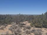 Lot 52 Witch Well Ranchos - Photo 3