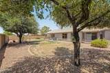 3866 Joshua Tree Lane - Photo 50