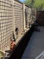 11348 Pinehollow Drive - Photo 15