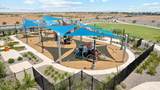 11966 Lupine Lane - Photo 45