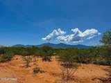 0 Paloma Trail Lot #2 4.47 Acres - Photo 12