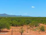 0 Paloma Trail Lot #2 4.47 Acres - Photo 15