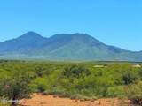 0 Paloma Trail Lot #2 4.47 Acres - Photo 16