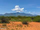 0 Paloma Trail Lot #2 4.47 Acres - Photo 9