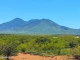 0 Paloma Trail Lot #5 4.47 Acres - Photo 1
