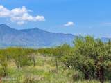 0 Paloma Trail Lot #5 4.47 Acres - Photo 8