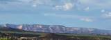2263 Rio Mesa Trail - Photo 52