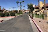 4901 Calle Los Cerros Drive - Photo 23