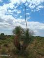 TBD Poppy Lane - Photo 9