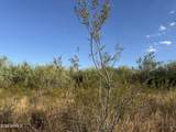 0 Lone Cactus Drive - Photo 6