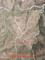 TDB Ranch Creek Road - Photo 13