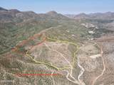 TDB Ranch Creek Road - Photo 9