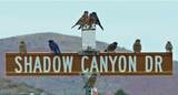 661 Shadow Canyon Drive - Photo 122