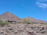 16230 Desert Fox Parkway - Photo 13