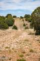 000-B Pine Ridge Trail Rd - Photo 4