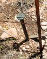 000-B Pine Ridge Trail Rd - Photo 6