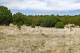 000-B Pine Ridge Trail Rd - Photo 7