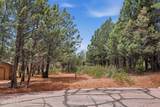 20 Hidden Pines Loop - Photo 5