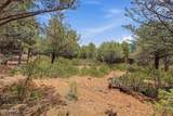 20 Hidden Pines Loop - Photo 9