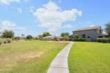 29954 Little Leaf Drive - Photo 51