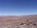 21001 Gods Pocket Drive - Photo 8