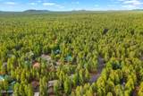 6378 Christmas Tree Circle - Photo 48