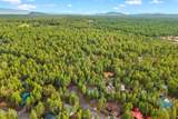 6378 Christmas Tree Circle - Photo 49