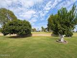 10542 Tropicana Circle - Photo 5