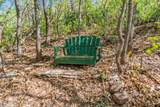 8397 Turkey Run Drive - Photo 47