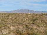 21631 Thirsty Earth Trail - Photo 3