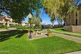 10410 Cave Creek Road - Photo 17