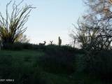 7960 Rising Sun Road - Photo 2