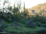 7960 Rising Sun Road - Photo 4