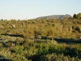 7960 Rising Sun Road - Photo 7
