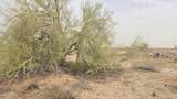 339XX Restin Road - Photo 16