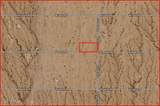 339XX Restin Road - Photo 17