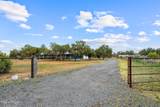 6733 Perkins Lane - Photo 3