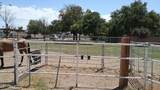 4410 Banff Lane - Photo 60
