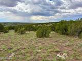 121, 125, 127 & 129 Co Rd 8051 4.14 Acre - Photo 4