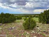 121, 125, 127 & 129 Co Rd 8051 4.14 Acre - Photo 5