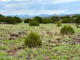 121, 125, 127 & 129 Co Rd 8051 4.14 Acre - Photo 6