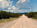 121, 125, 127 & 129 Co Rd 8051 4.14 Acre - Photo 7