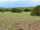 85 Co Rd 8128 Lots 100, 101 & 108 3.33 - Photo 14