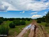 85 Co Rd 8128 Lots 100, 101 & 108 3.33 - Photo 16