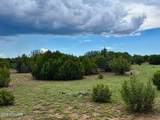 85 Co Rd 8128 Lots 100, 101 & 108 3.33 - Photo 4