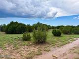 85 Co Rd 8128 Lots 100, 101 & 108 3.33 - Photo 7