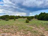 85 Co Rd 8128 Lots 100, 101 & 108 3.33 - Photo 8