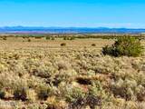 River Meadows Ranch Unit 3 Lot 204 - Photo 10